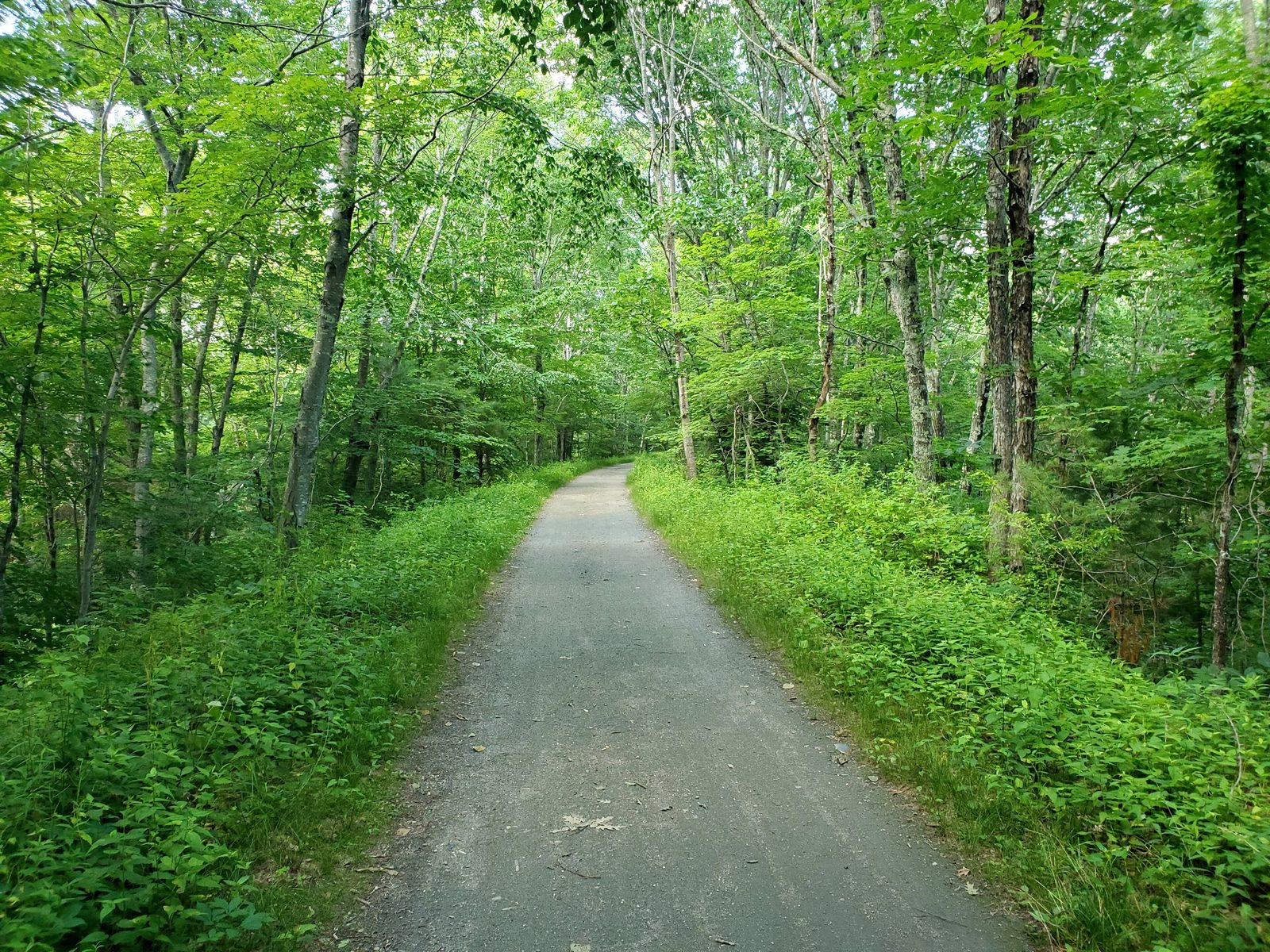Air Line State Park Trail
