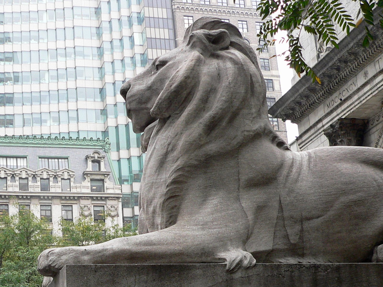 New York Public Library Lion